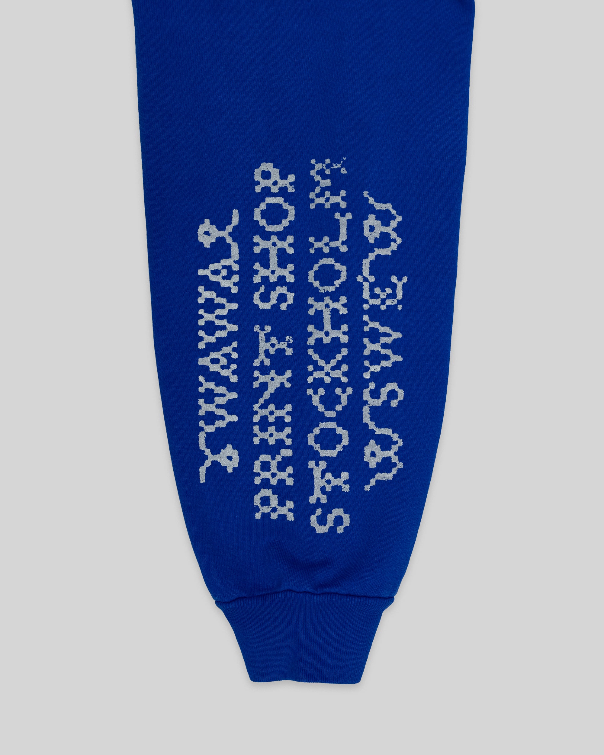 BLÅSIPPA REFLECTIVE HOODIE